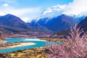 徒个中国 • 西藏｜雪域桃花徒步节（林芝集合）