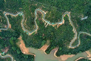 深圳168第一站｜龙华环城绿道16公里徒步