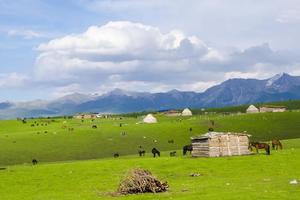 徒个中国•新疆｜伊犁醉美5大草原轻徒步，升级入住赛里木湖房车酒店，品尝正宗新疆清炖羊肉