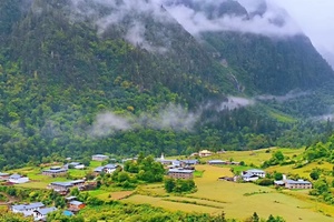 徒个中国·云南｜梅里雨崩高山杜鹃徒步节