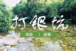 杨梅采摘季｜惠东白盆珠打银坑溯溪、摘杨梅、泡潭子、打火锅