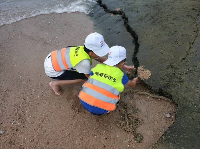 https://image.ipaiban.com/upload-ueditor-image-20190710-1562750150501009053.jpg