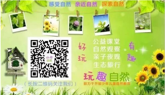 1521527710(1).png 1521527710(1).png