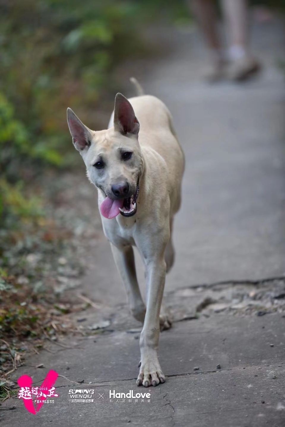 微信图片_20240314182813