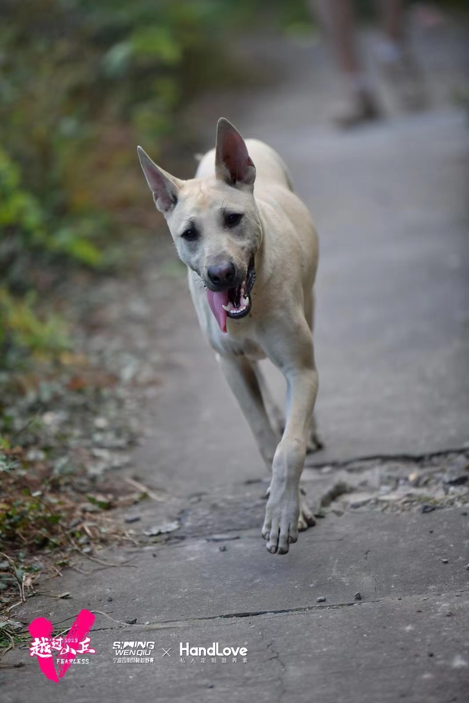 微信图片_20240314182816