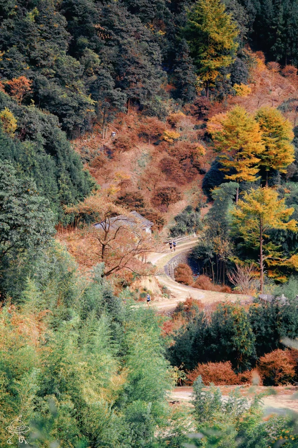 微信图片_20240314183007