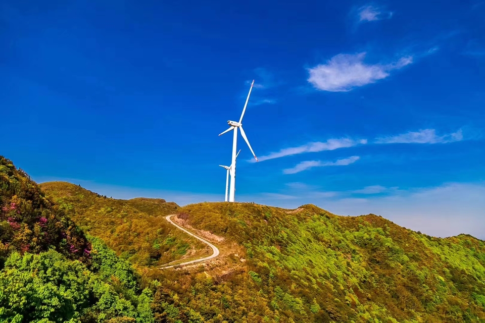 微信图片_20240314183622