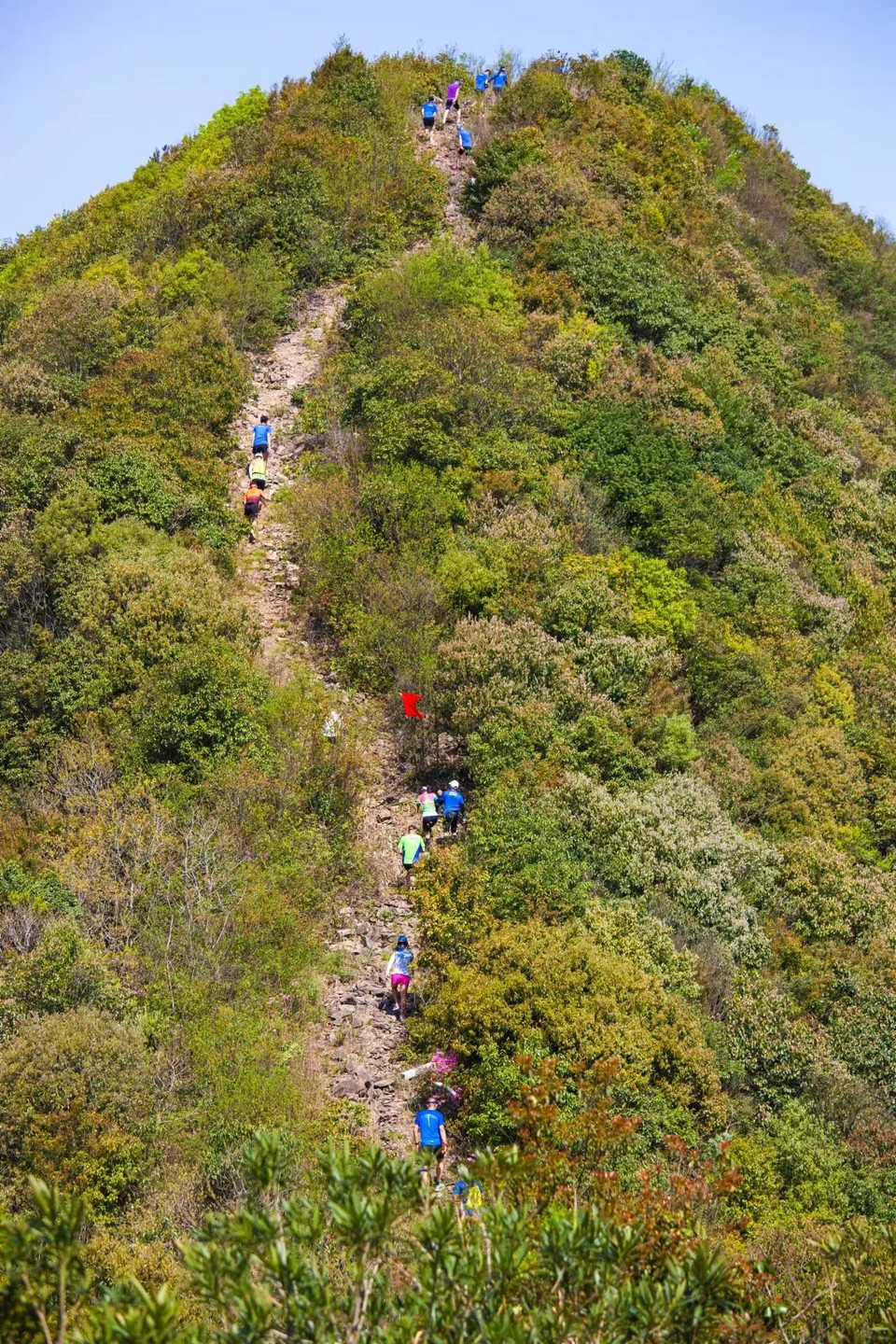 微信图片_20240314183634