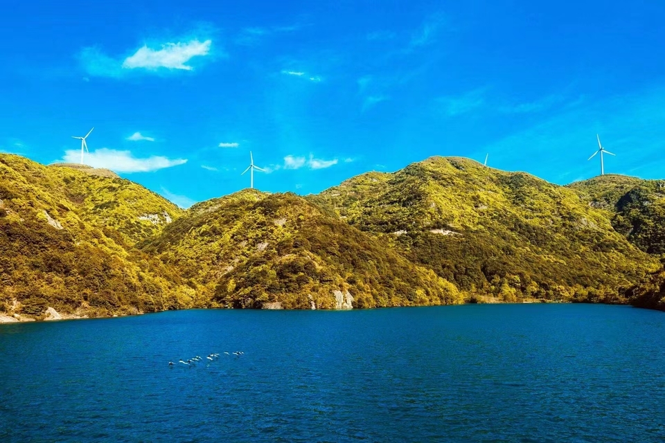 微信图片_20240314183637