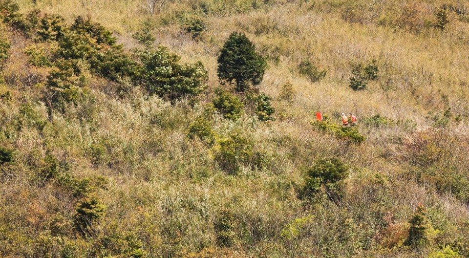 微信图片_20240314183649