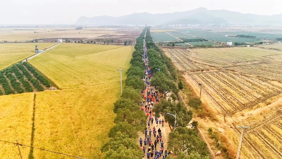 微信图片_20240314183741