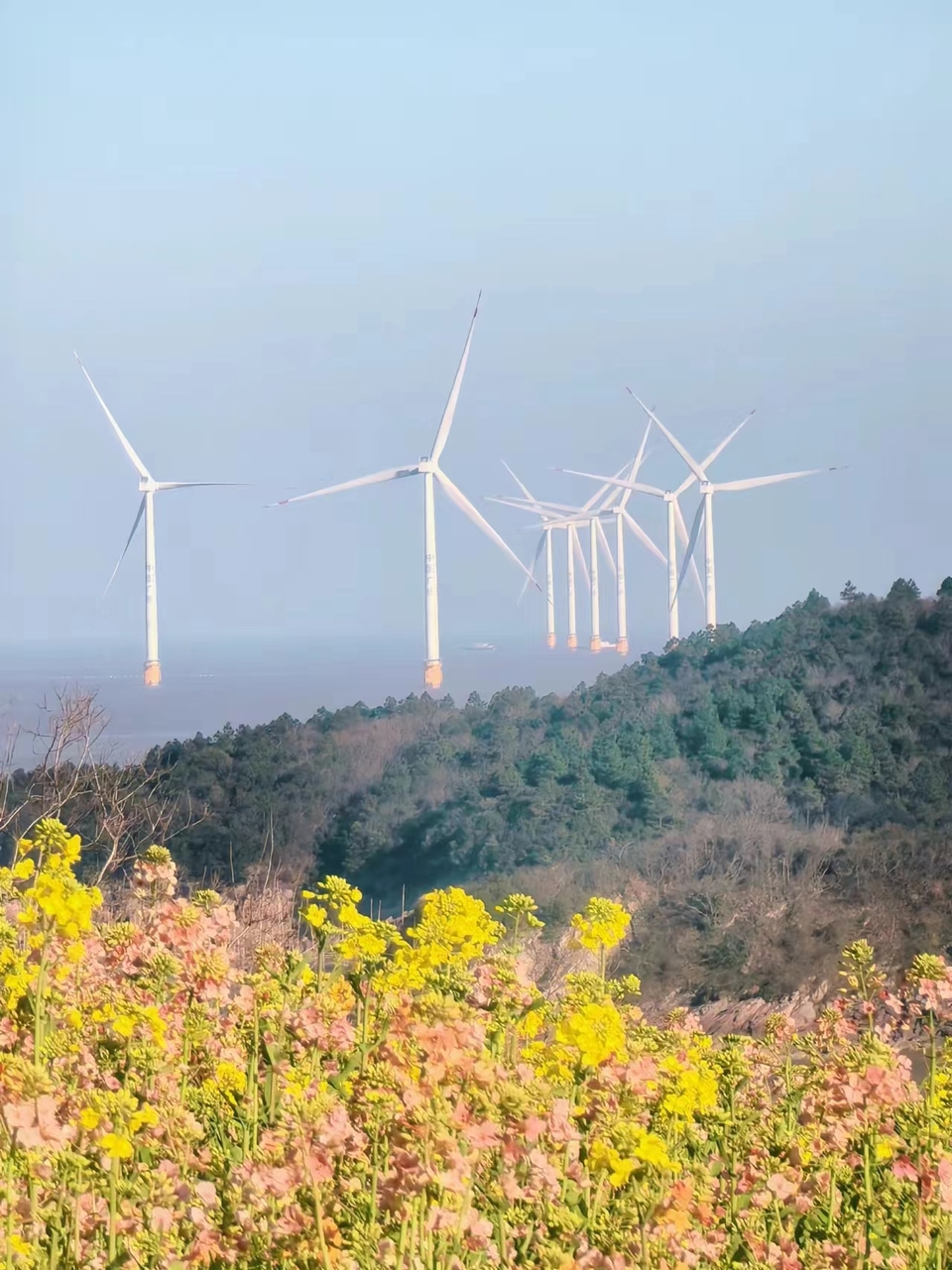 微信图片_20240314183755