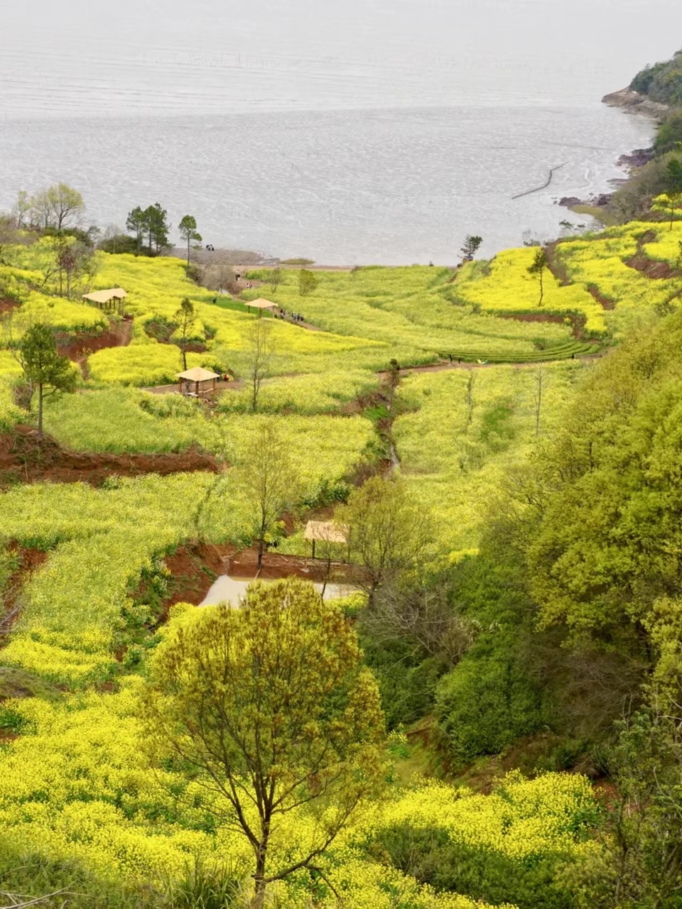 微信图片_20240314183757