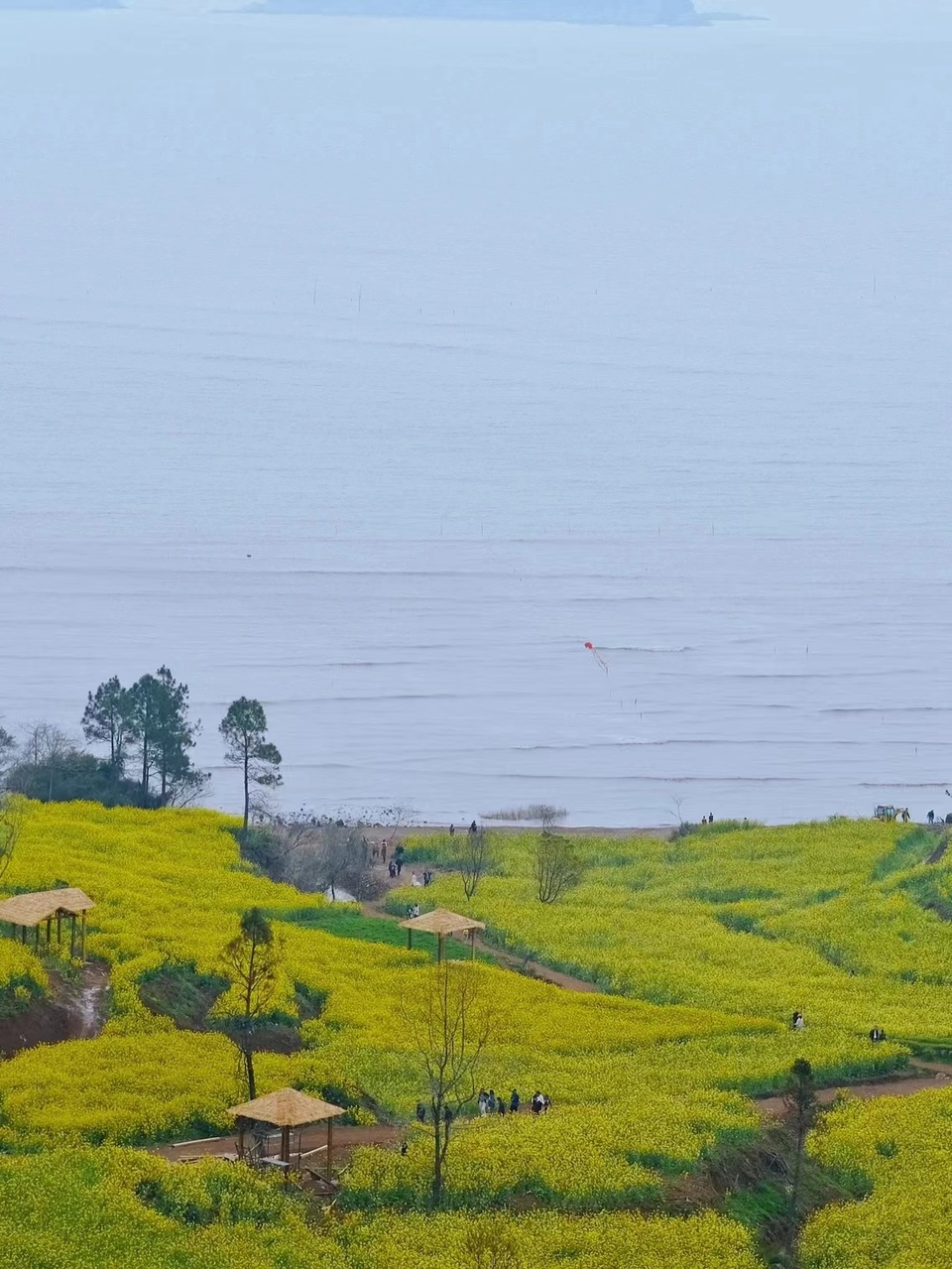 微信图片_20240314183759