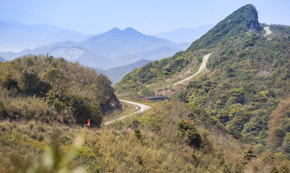 微信图片_20240314183825