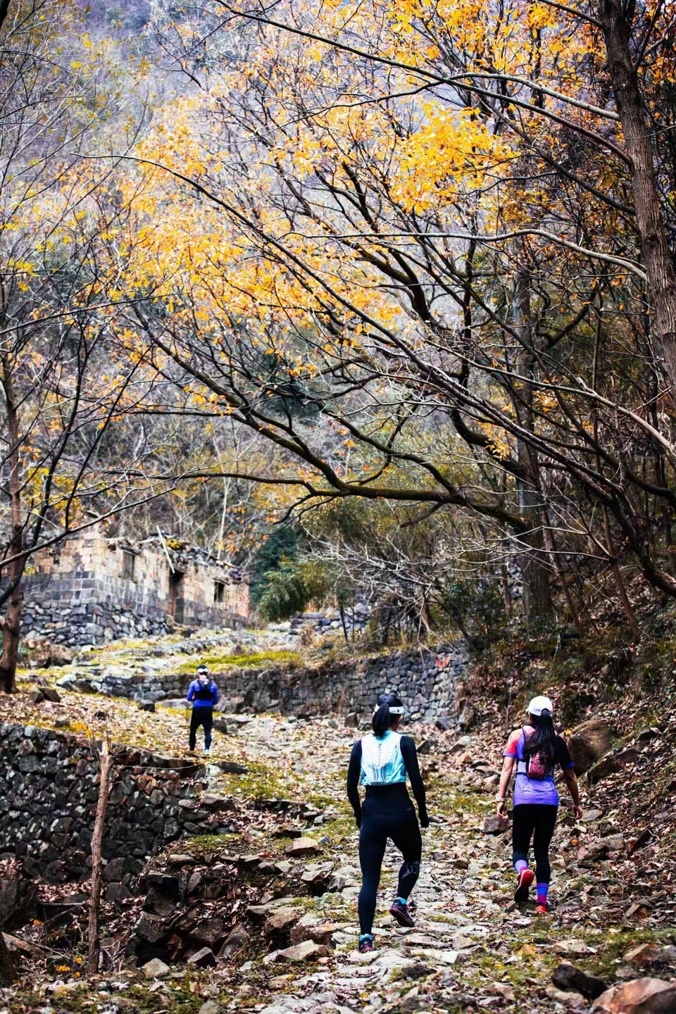 微信图片_20240314185818