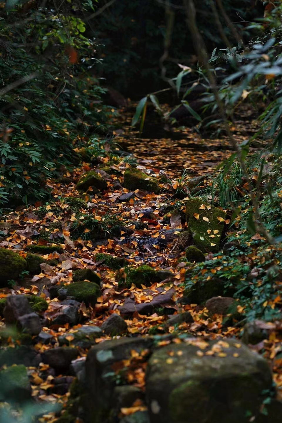 微信图片_20240314185833