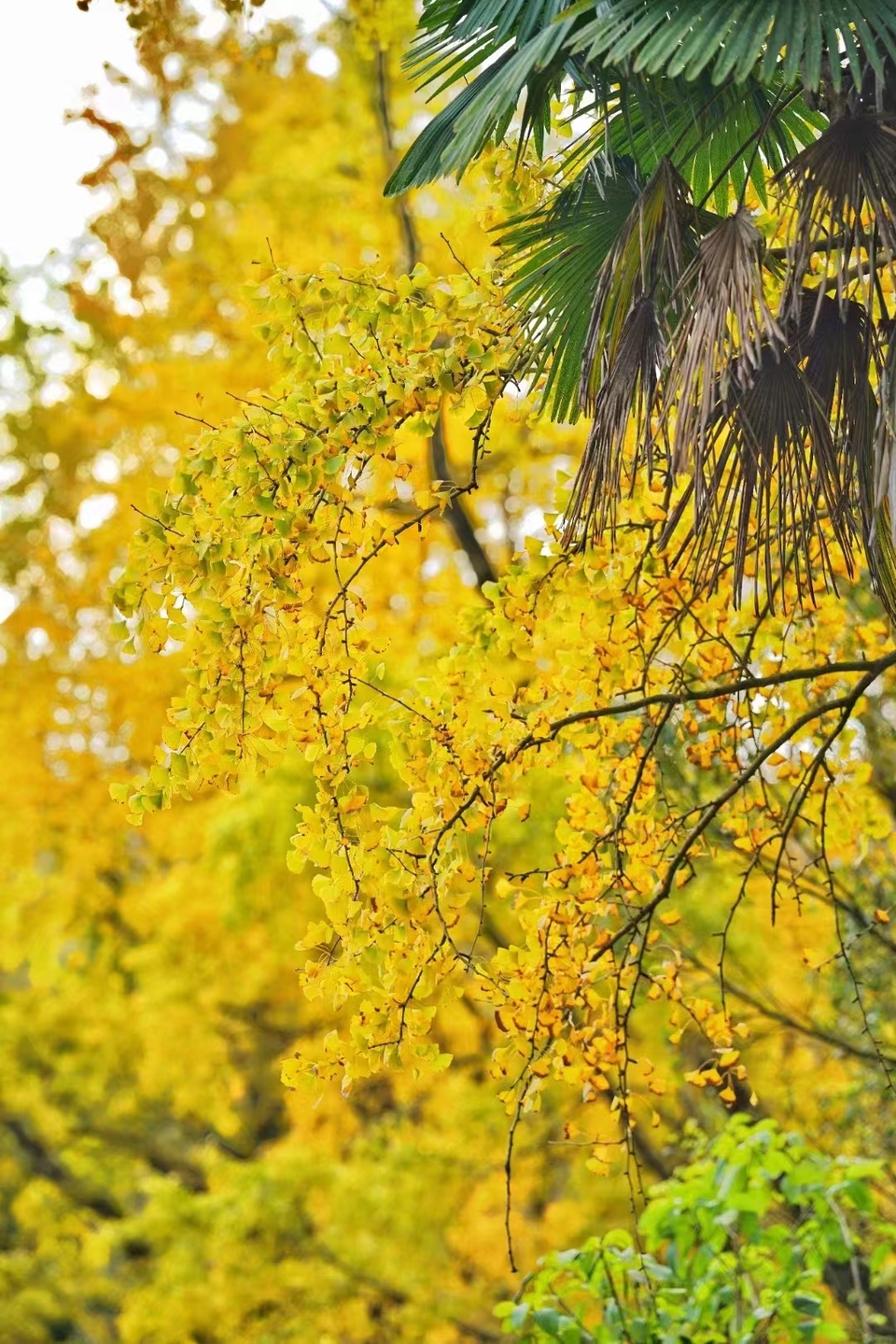 微信图片_20240314185835