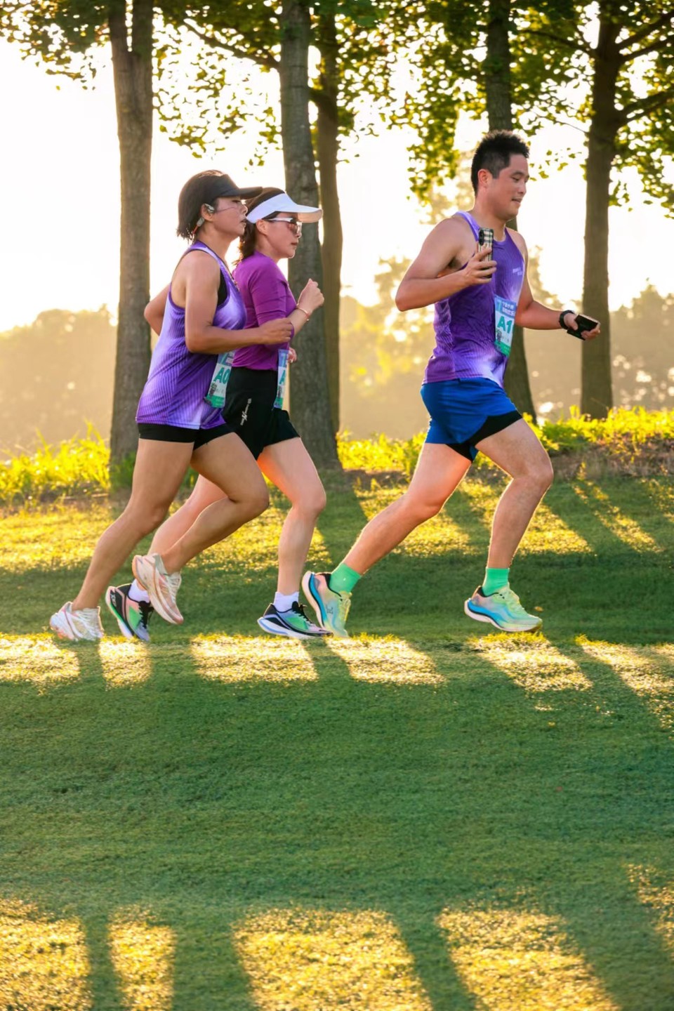 微信图片_20240314193125