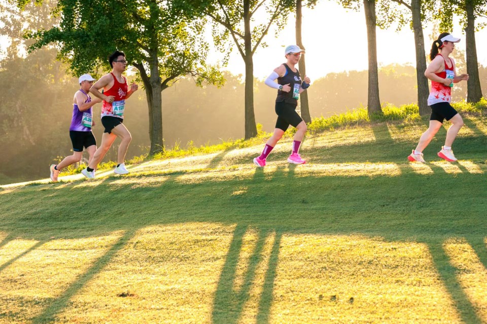 微信图片_20240314193201