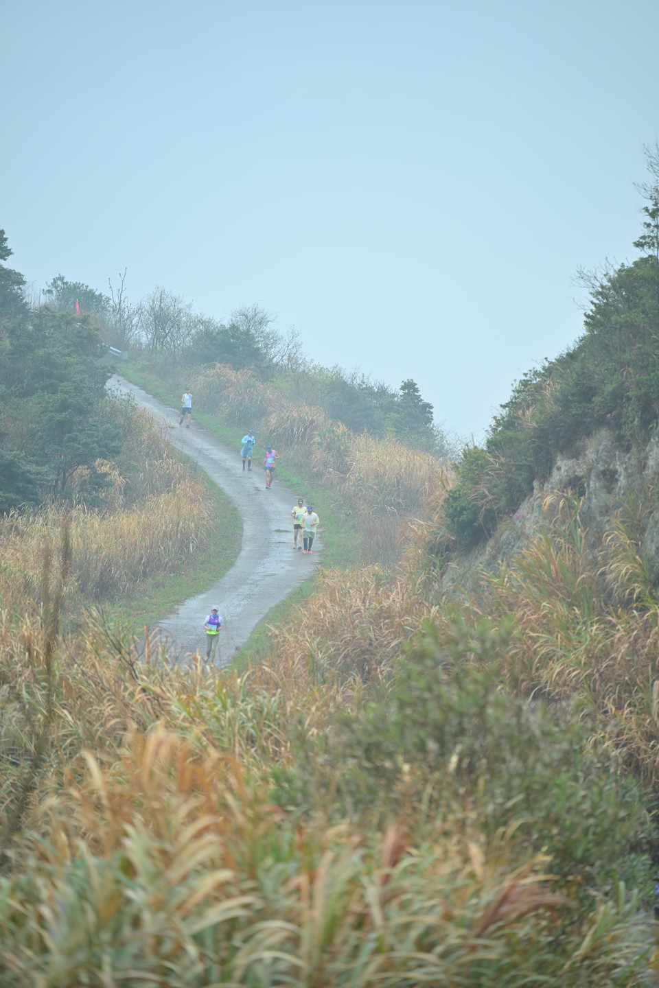 微信图片_20240425152628