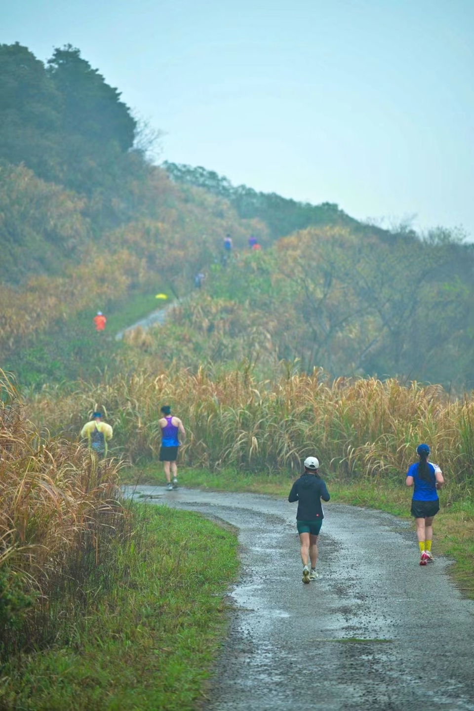 微信图片_20240425152640