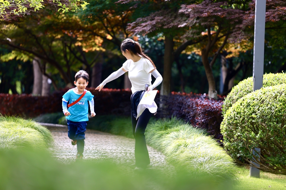 微信图片_20240718085041