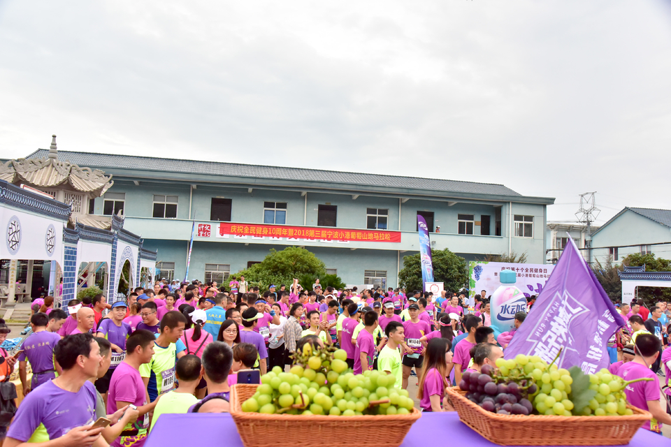 2018-08-12丁家山葡萄马_117