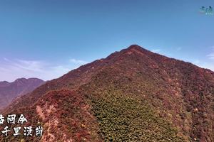 22千里漫岗宣传片