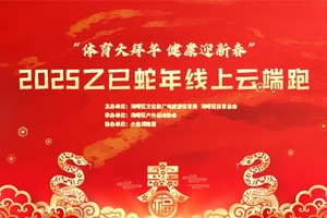  2025乙已蛇年线上云端跑