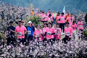 海曙团报-2020年奉化桃花马