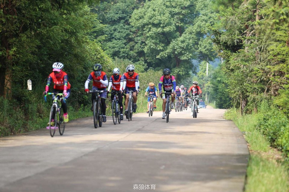 厉害了我的勇士们