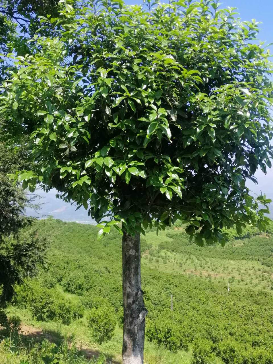 CnUWv0UHn-5Oj0V8h0Tpt9F7PXQDPhXFTpEajBtDLZJEbXqF7i2r1kXriyZg0KdM