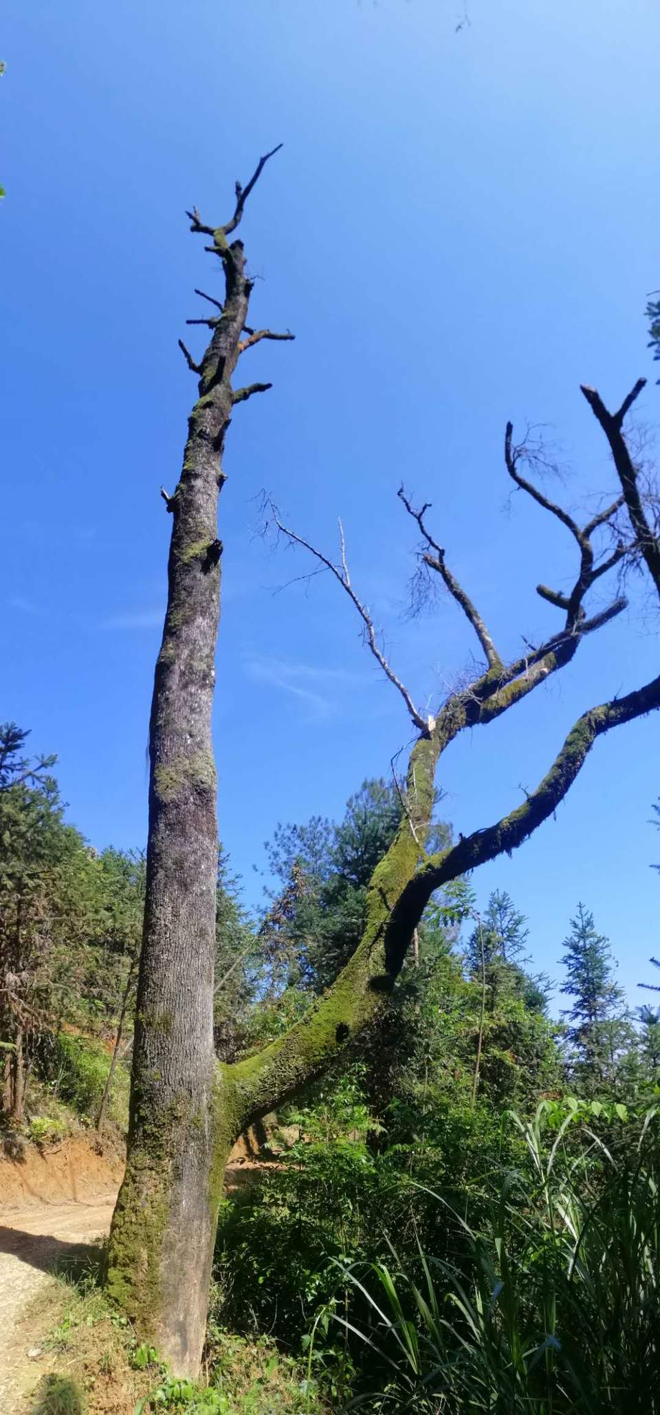 3LQwgwNh4YQSkT1kPNAbs0rIapuQ6herd2MuXQiBY7MP0L9epGep-_a1826zBLcU