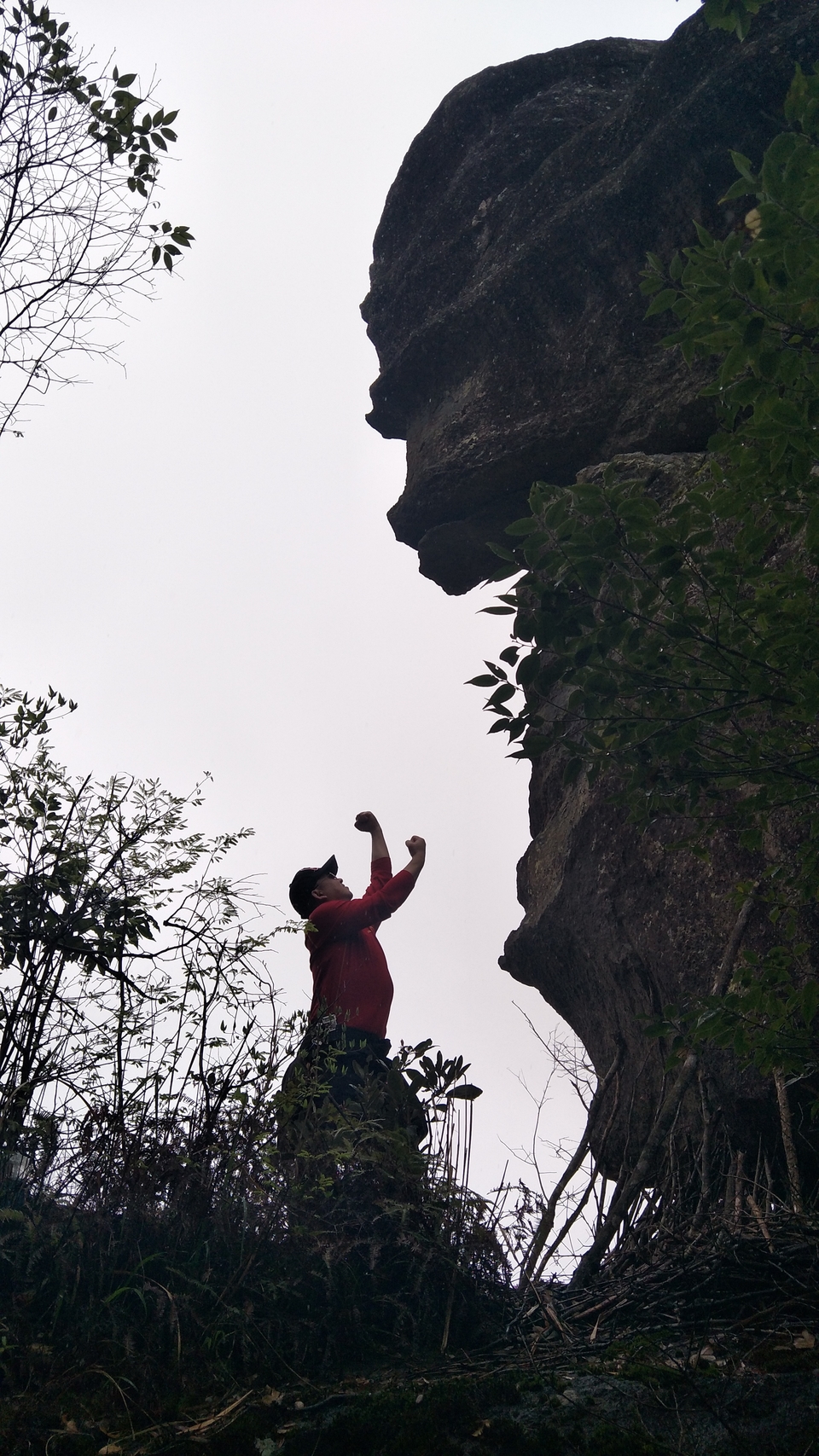 qQoeh0gJ25g7j9-ExuVN2KC16--X1WujzpSxTJiKMi2--a9aPJJSnaq8NDumG3OG