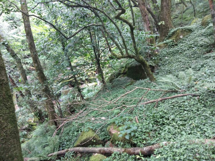 微信图片_20180820150946