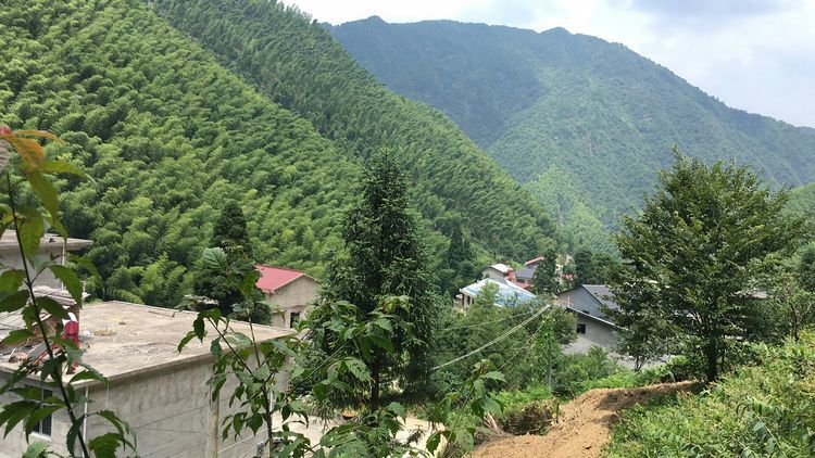 微信图片_20180820150949