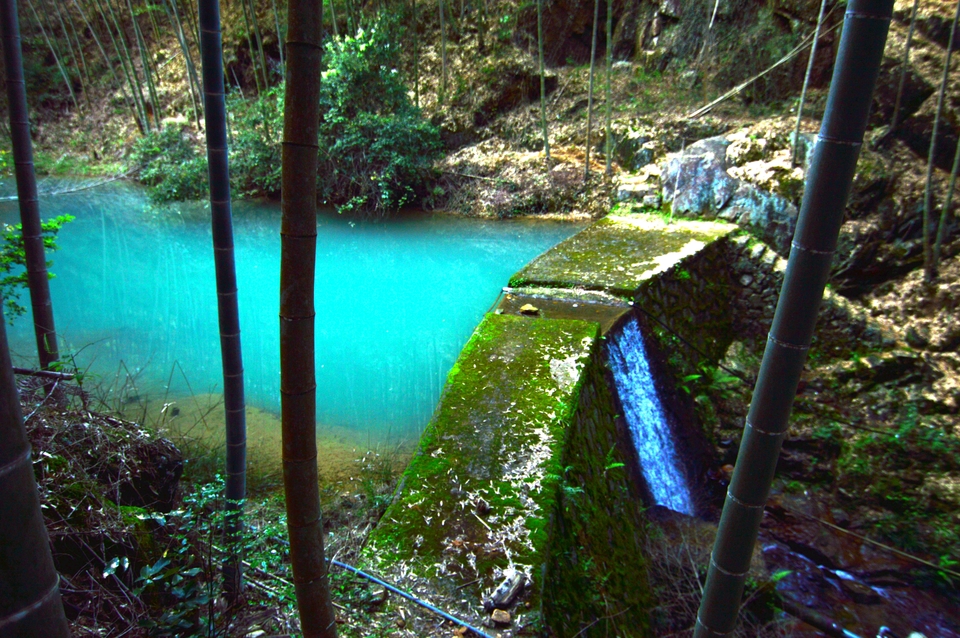 微信图片_20190408083629