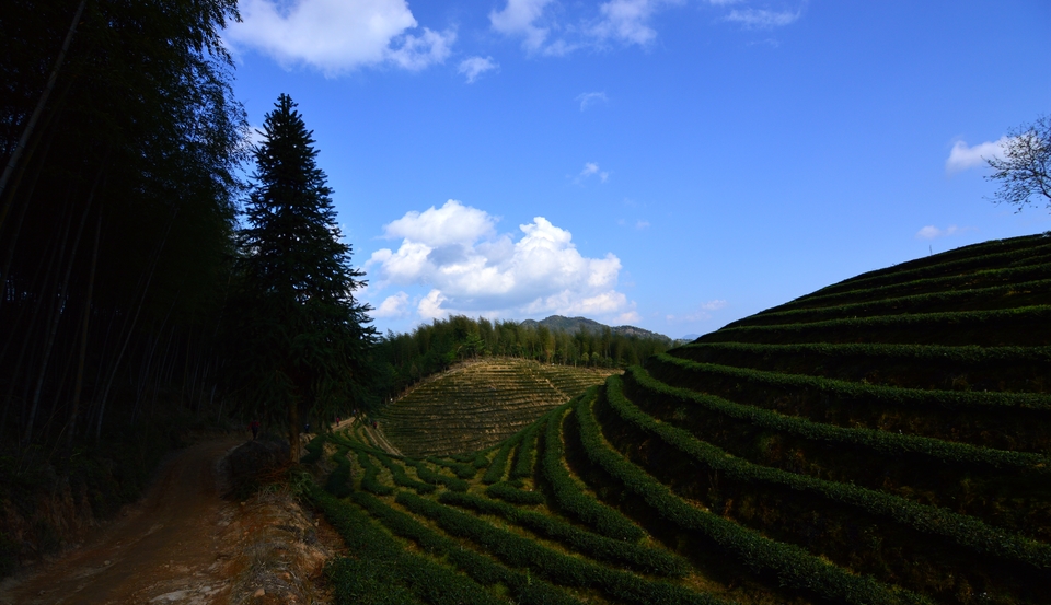 微信图片_20190408083811