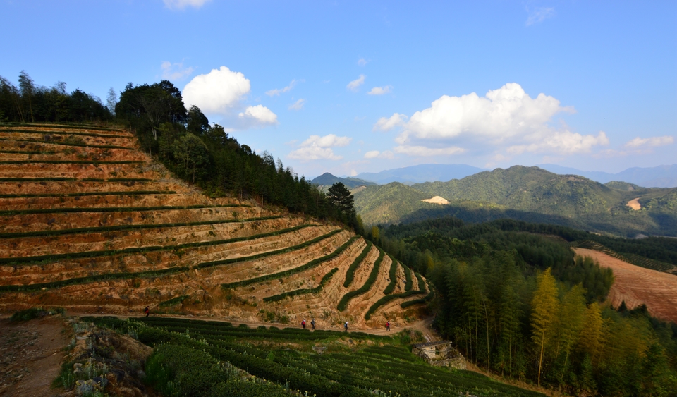 微信图片_20190408083833