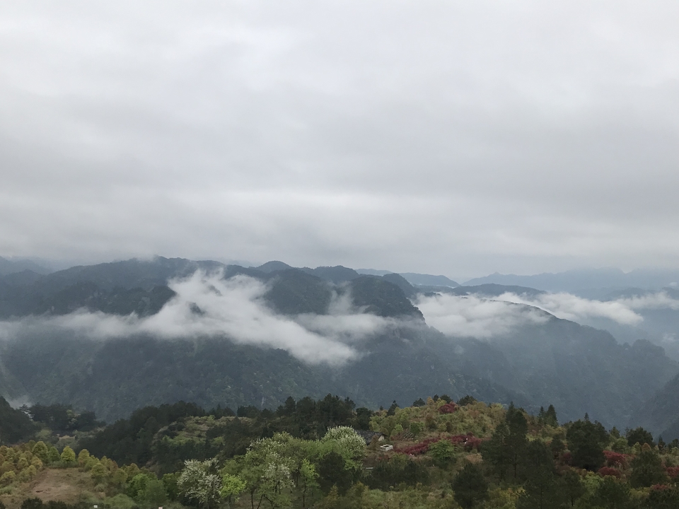 微信图片_20190416172428