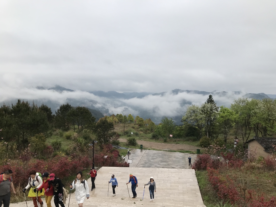 微信图片_20190416172455