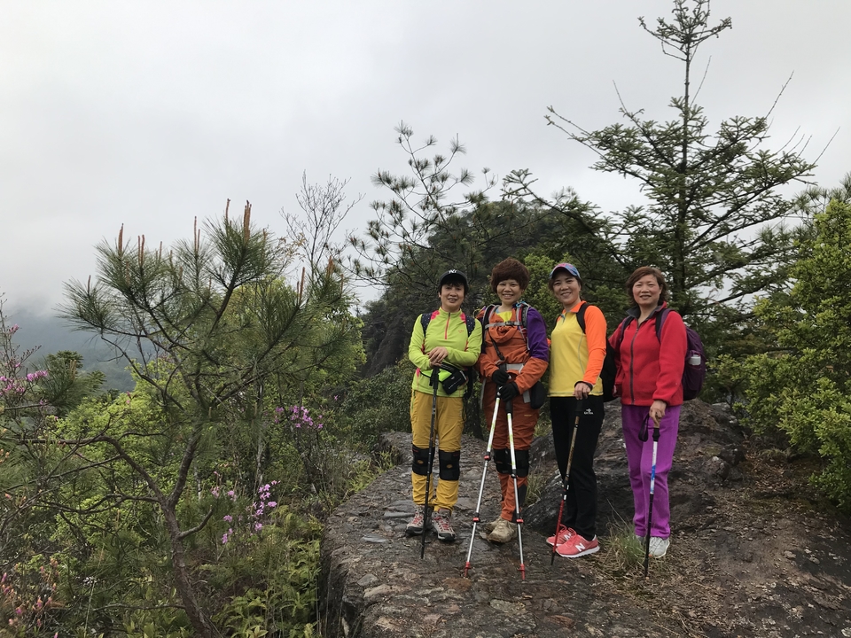 微信图片_20190416173322