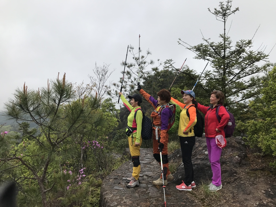 微信图片_20190416173329