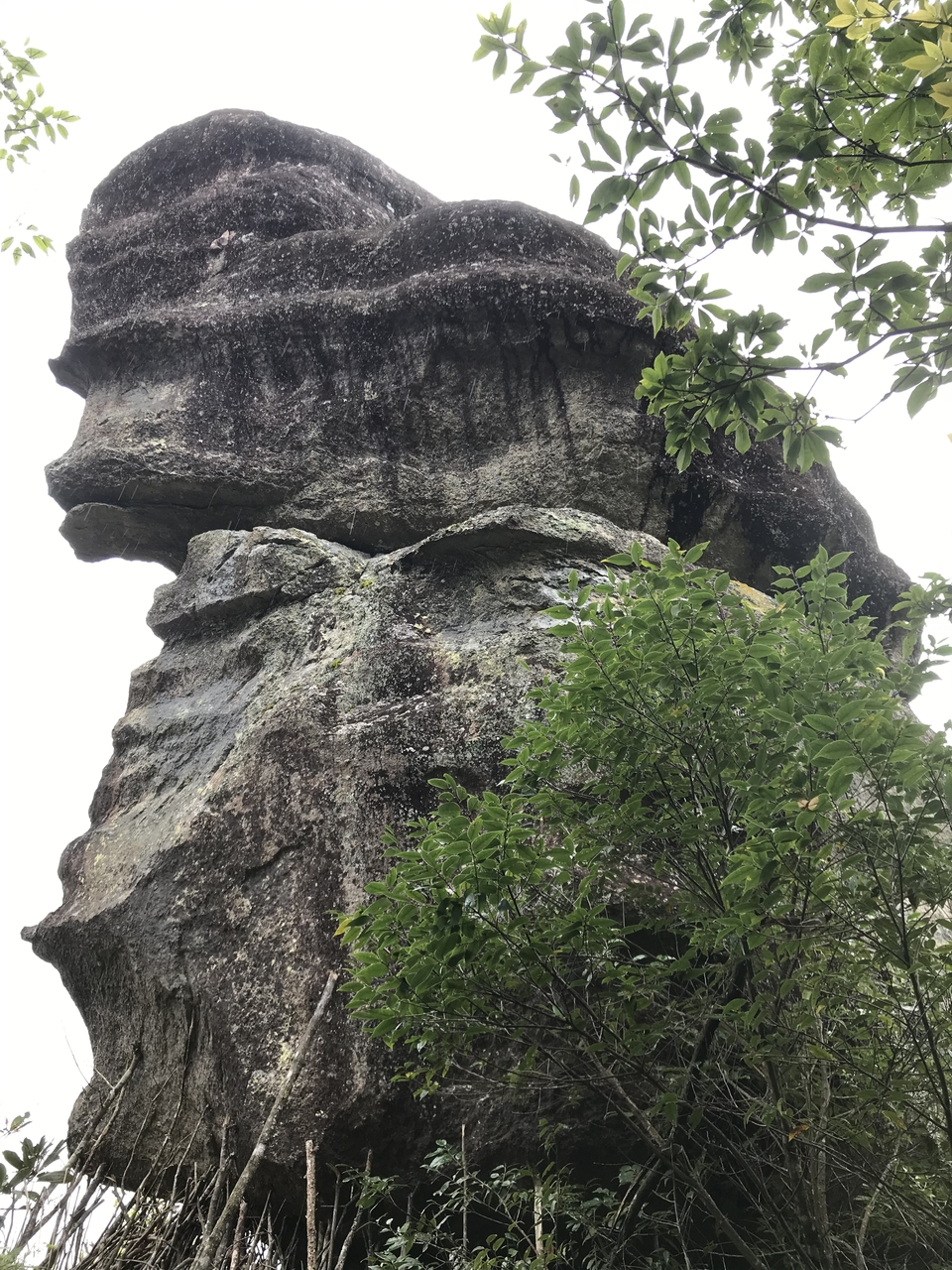 微信图片_20190416173430