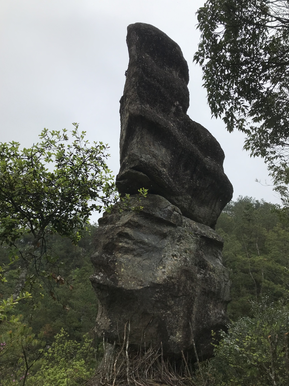 微信图片_20190416173437