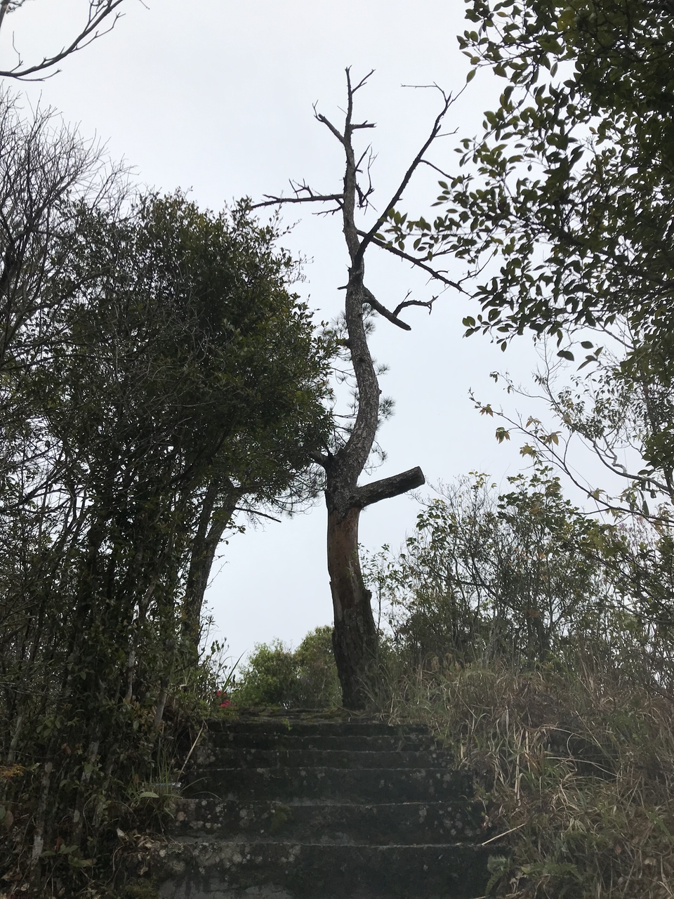 微信图片_20190416173448