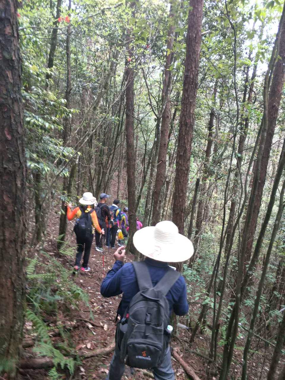 微信图片_20190512175013