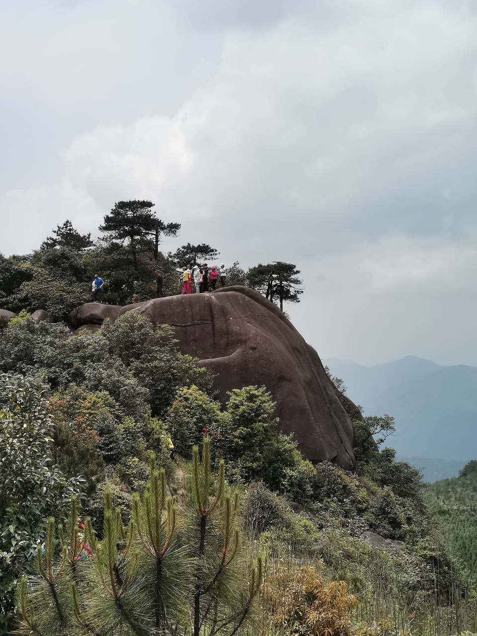 微信图片_20190513100105