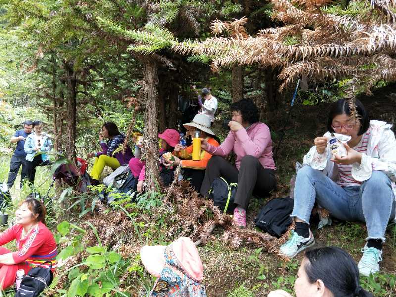 微信图片_20190513100136